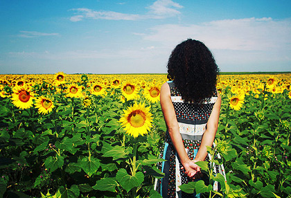 会员开通平台的ddos攻击